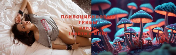 скорость Нея