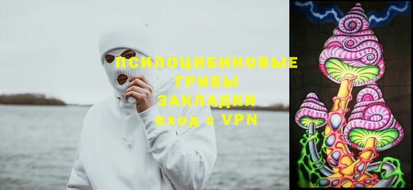 винт Надым