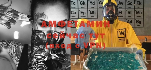 индика Аркадак