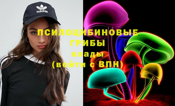 мяу мяу мука Бугульма