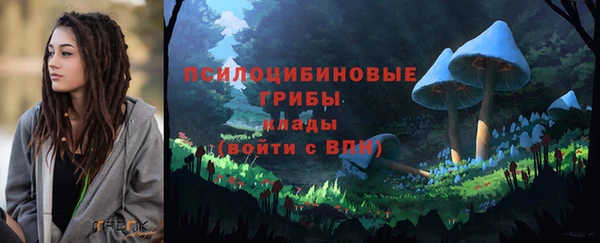 индика Арсеньев