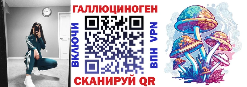 где продают наркотики  Любань  Псилоцибиновые грибы GOLDEN TEACHER 